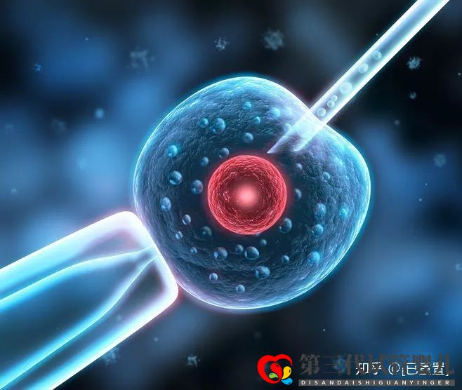 羊水穿刺發(fā)現(xiàn)2號(hào)染色體基因突變別擔(dān)心，附四種解決措施(圖1)