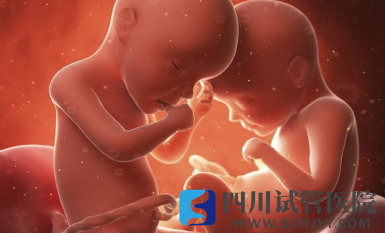 三代試管做雙生子的條件，胚胎質(zhì)量和卵巢功能好才能做(圖3)