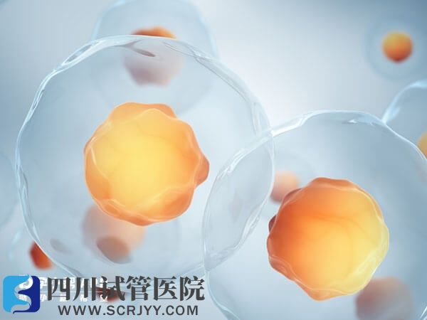 取卵前吃什么卵泡優(yōu)質(zhì)